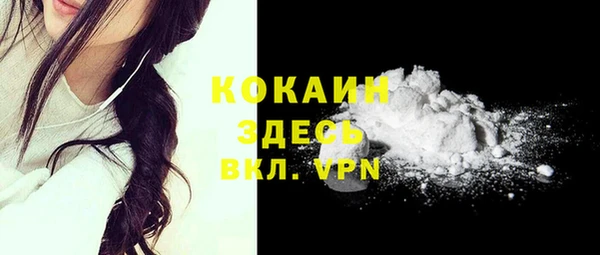 молекула духа Переславль-Залесский